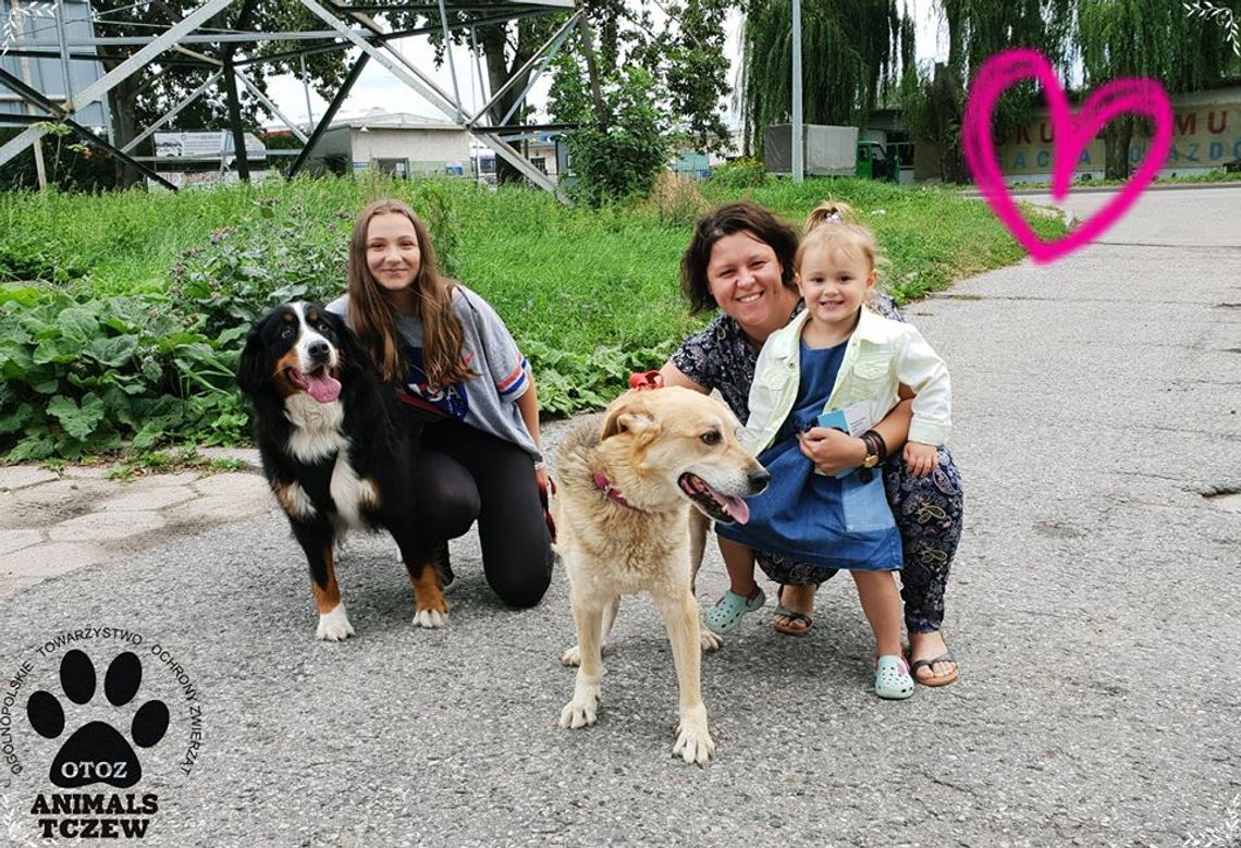 Psiak-stróż znalazł nowy dom! Szczęśliwy finał historii 11-letniego Wojtka 