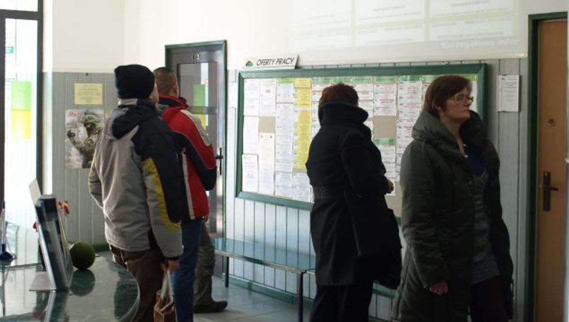 PUP profilował bezrobotnych. Efekt? Co trzeci w bardzo trudnej sytuacji na rynku PUP profilował bezrobotnych. Efekt? Co trzeci w bardzo trudnej sytuacji na rynku