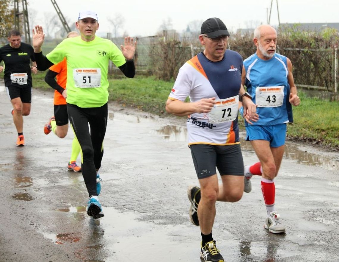 Radość biegania w jesiennym deszczu - 2 Bieg Nadwiślański Szlakiem Dolnej Doliny Wisły 