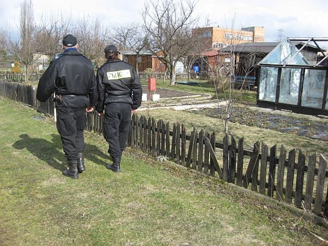 Raj dla włamywaczy. Tu przestępczość dosłownie kwitnie Raj dla włamywaczy. Tu przestępczość dosłownie kwitnie