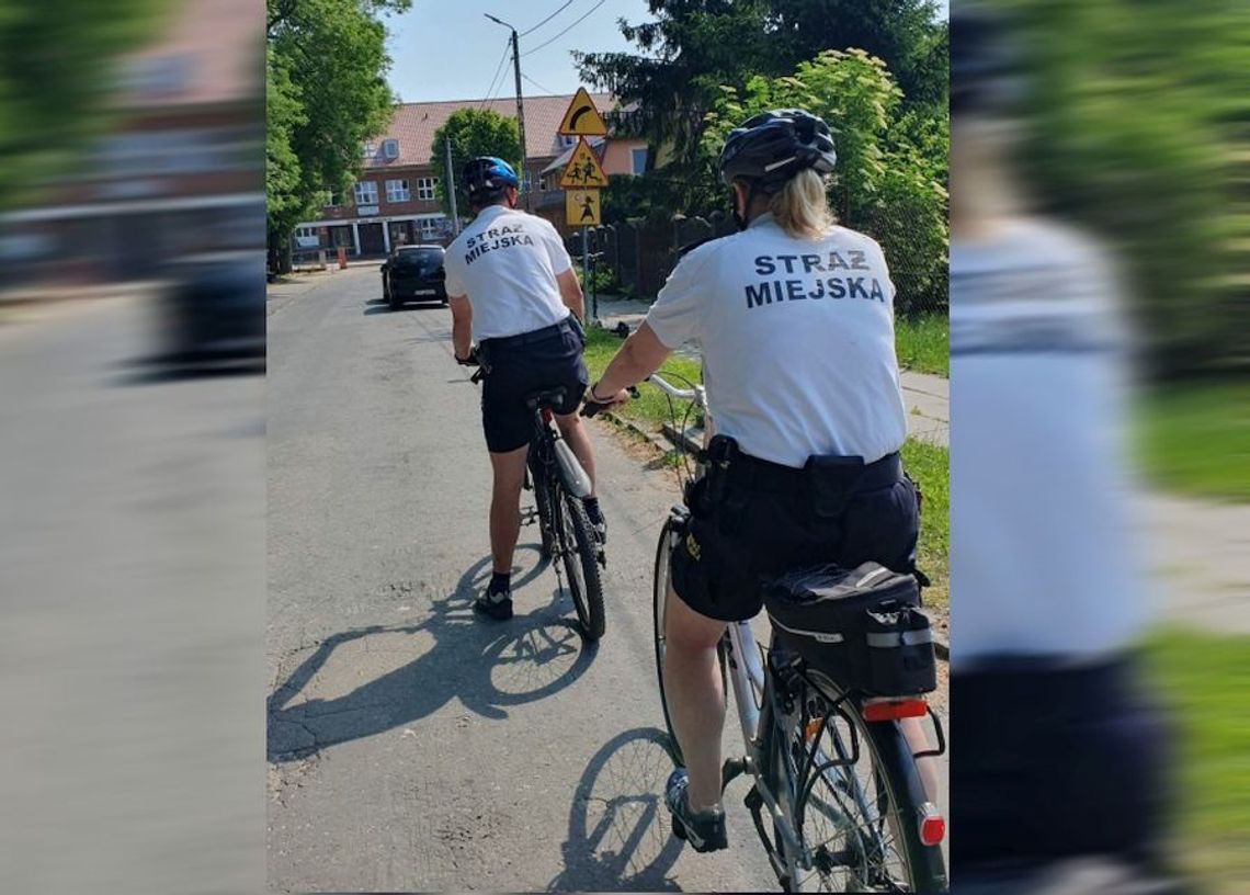 Rowerowe patrole tczewskich strażników miejskich