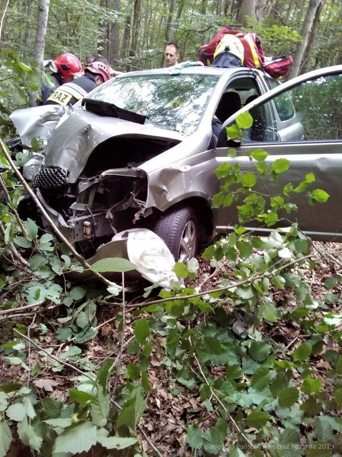 Samochód uderzył w drzewo w Liniewku