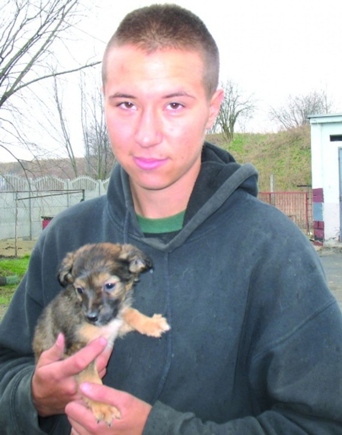 Schronisko czeka na wolontariuszy - potrzeby „braci mniejszych” w azylu