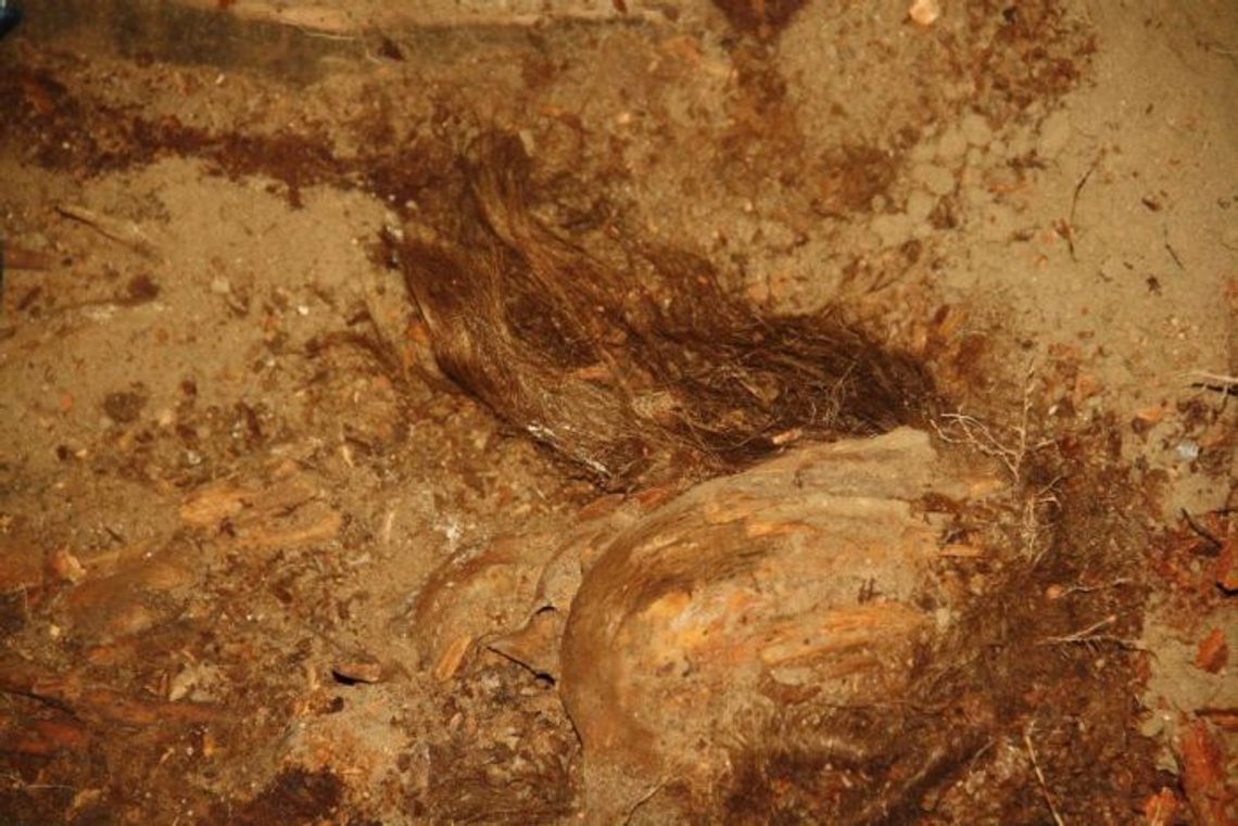 Skarby z trumny. Tydzień prac, a odkryć na całe życie 