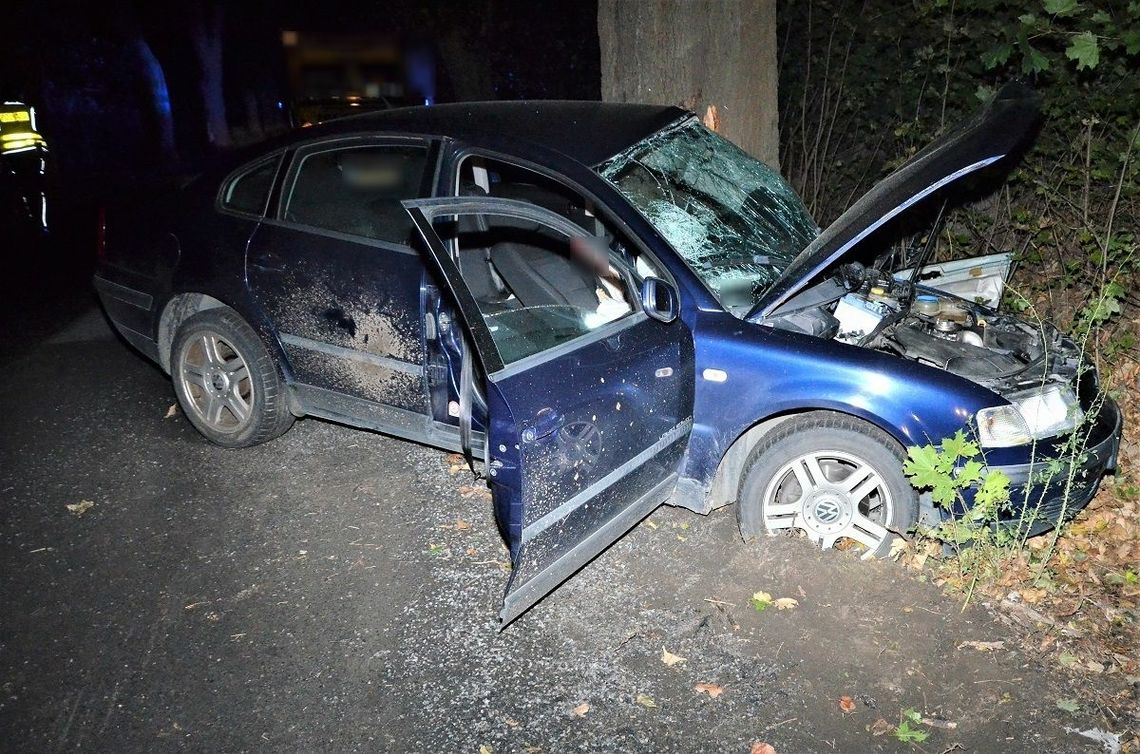 Śmiertelny wypadek drogowy w Bałdowie. Apel policji o informacje w sprawie wypadku 