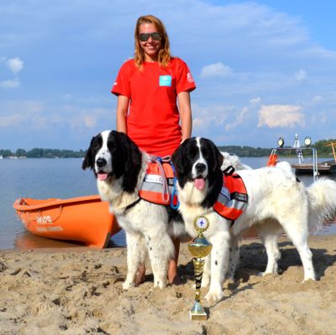 Sprawdź jak pracują psy ratownicze