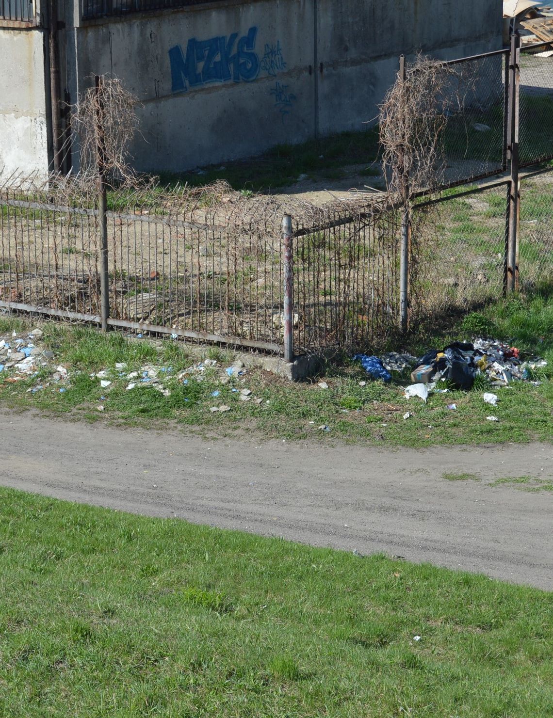 Sprzątają po brudasach! Śmieci beztrosko wyrzucane na os. Staszica