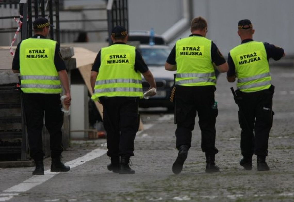 Straszak dla wandali i chuliganów