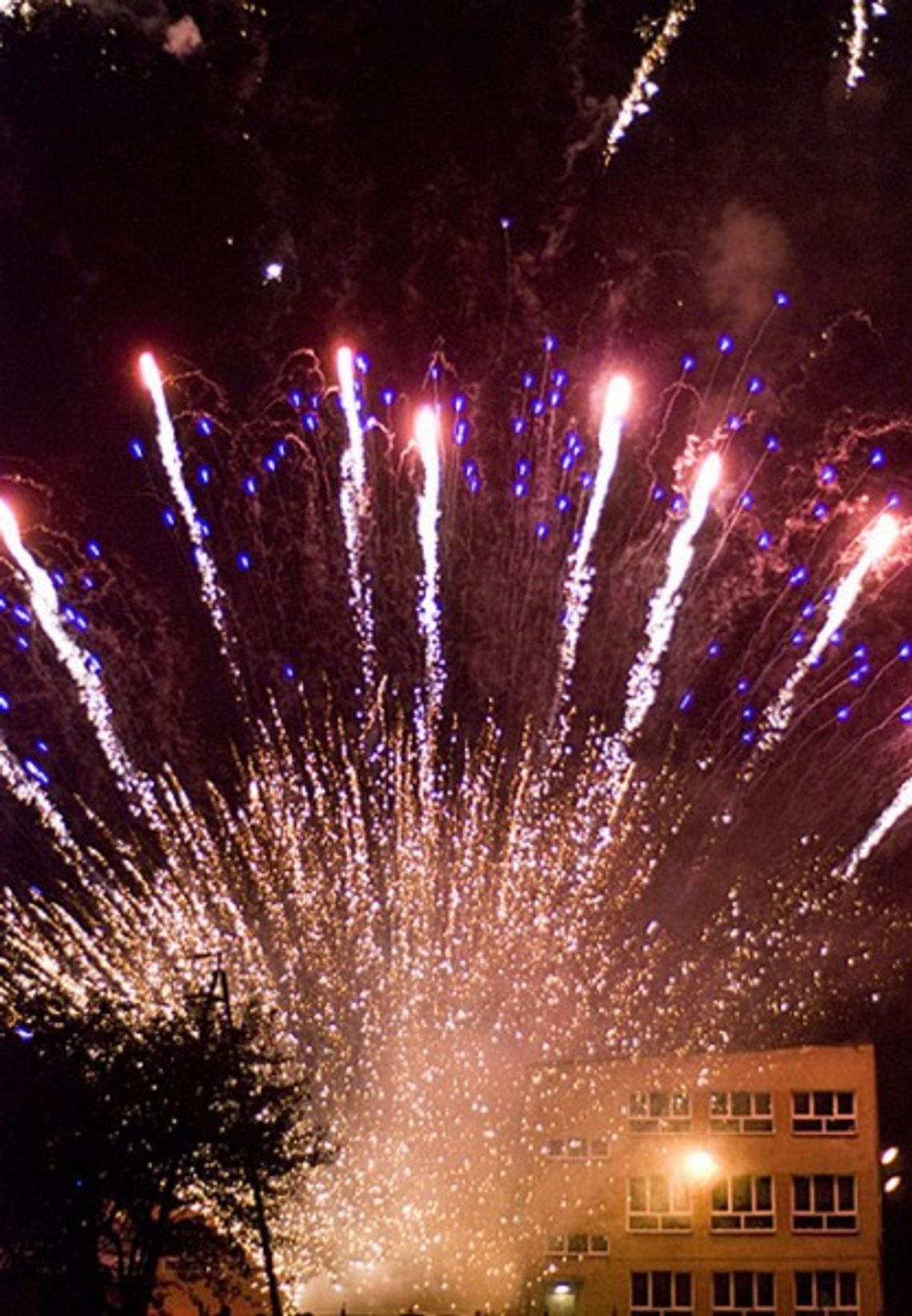 Sylwestrowe fajerwerki, czyli bezpieczeństwo przede wszystkim