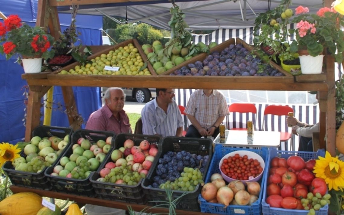Tczew gospodarzem Krajowych Dożynek Działkowych 2015