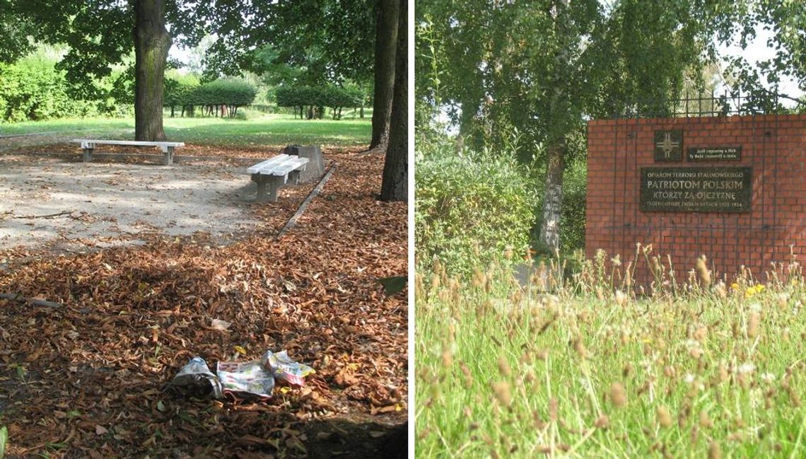 Tczewianin oburzony stanem terenu wokół Pomnika Ofiar Stalinizmu. Urząd: "sprzątamy tam dwa razy w tygodniu"