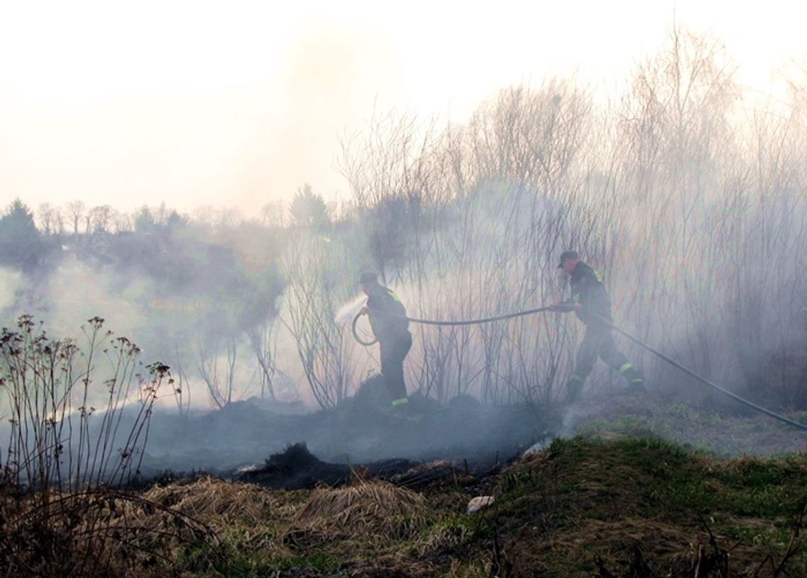Te pożary niosą śmierć