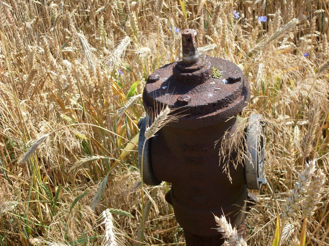 Te zdjęcia pokazują duży problem. Hydranty w bardzo złym stanie Te zdjęcia pokazują duży problem. Hydranty w bardzo złym stanie