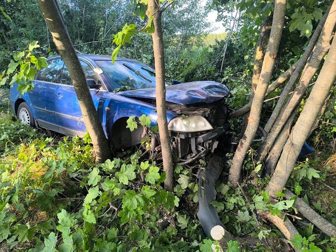 Uderzył w drzewo, trafił do szpitala. Nie uniknie 2 tys. zł kary Uderzył w drzewo, trafił do szpitala. Nie uniknie 2 tys. zł kary