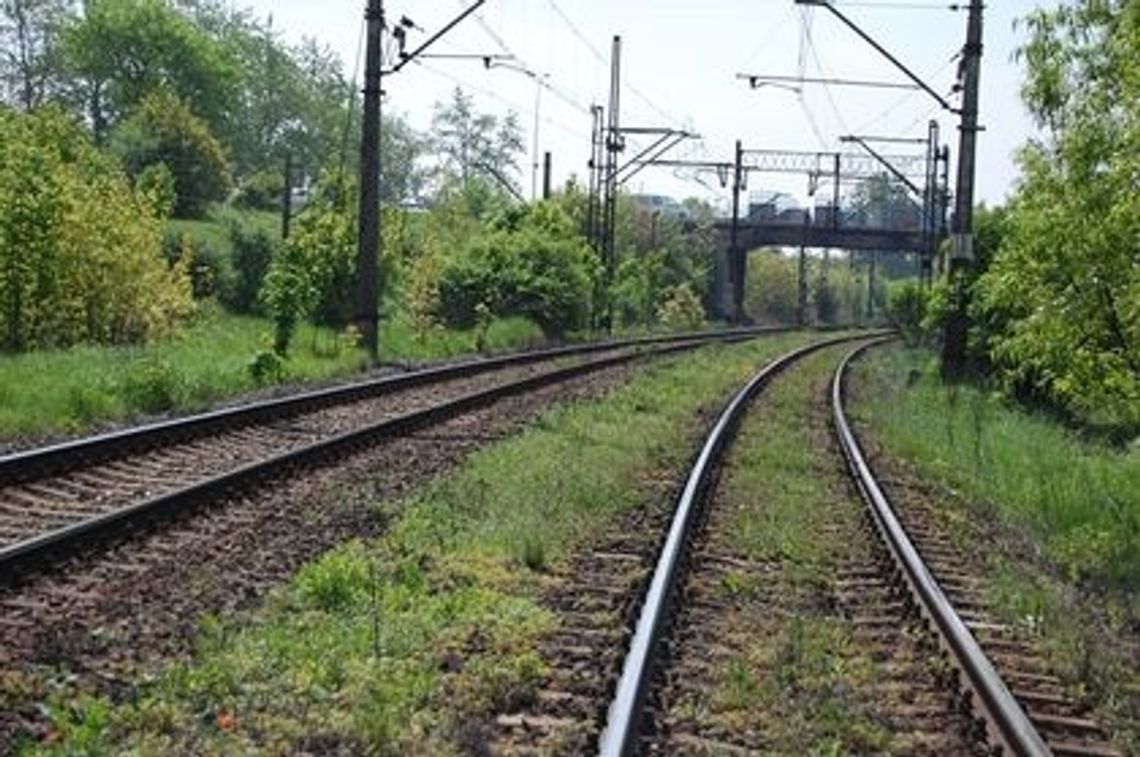 Upały opóźniają pociągi. Wyboczenia zagrażają torowiskom