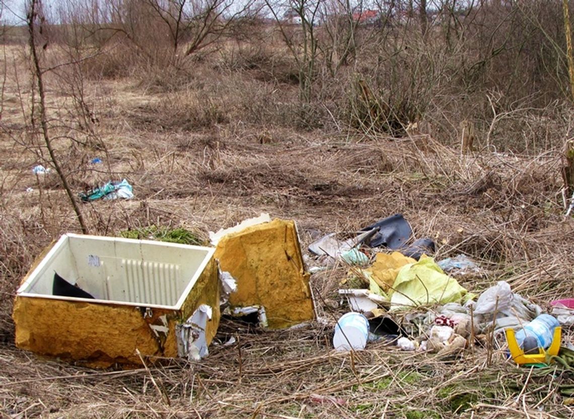 Urzędnicy pytają mieszkańców jak chcą płacić za śmieci