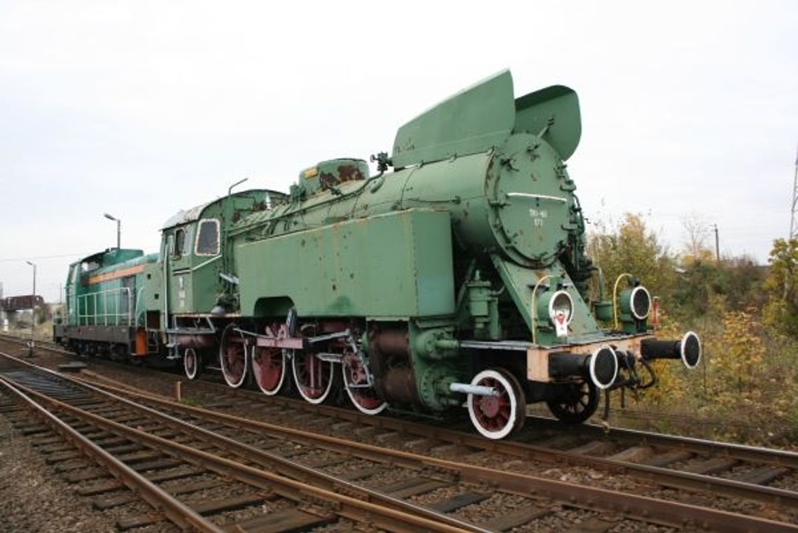 Uszatek o wadze 100 ton w Centrum Wystawienniczym