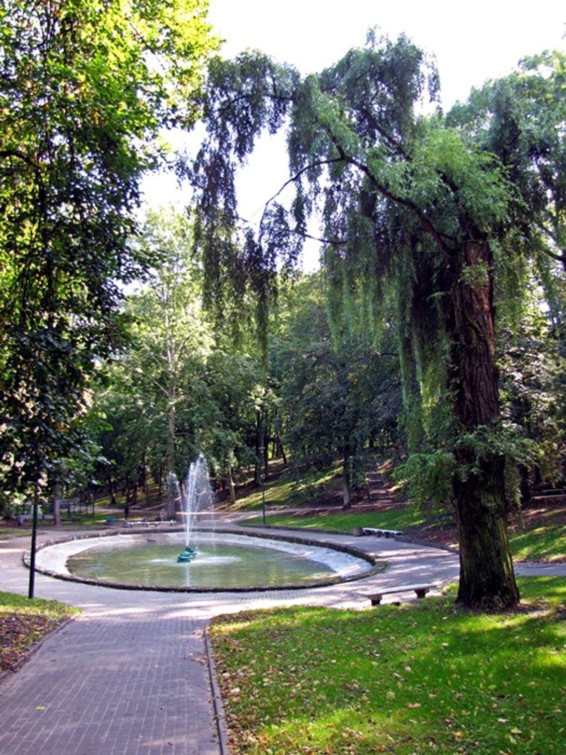 W Parku Miejskim powstanie park linowy? W Parku Miejskim powstanie park linowy?