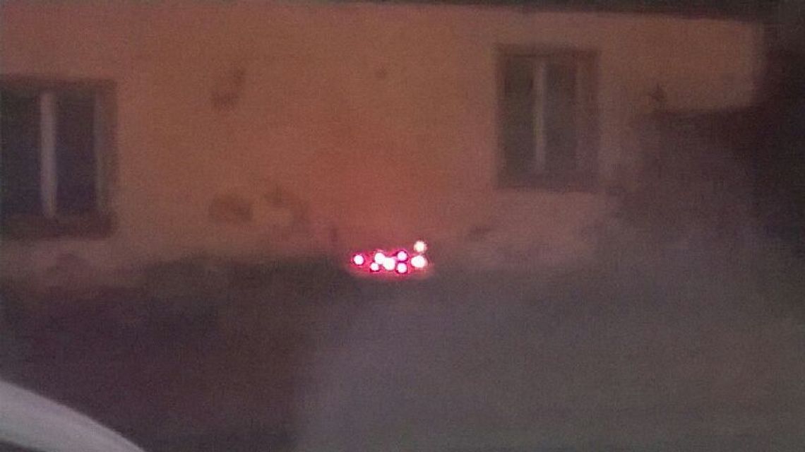 W Pelplinie po ścięciu kasztana ludzie zapalali znicze W Pelplinie po ścięciu kasztana ludzie zapalali znicze