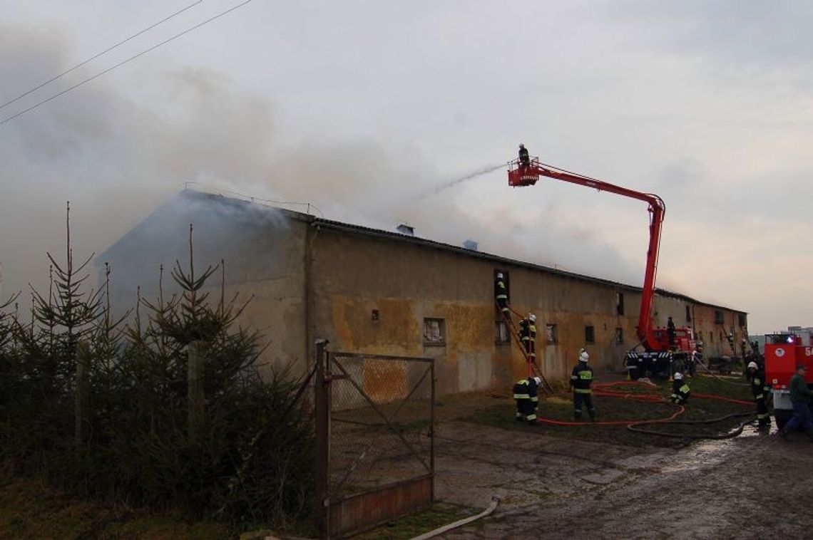 W Pomyjach spłonął budynek chlewni