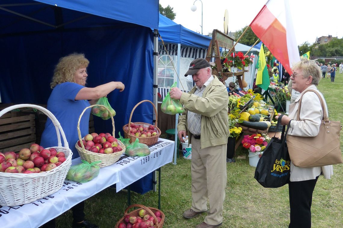 W środę rozdadzą kolejną  tonę jabłek