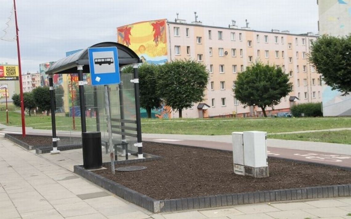 W Tczewie powstaną trzy "Zielone przystanki". "Będą kształtować nawyki proekologiczne"