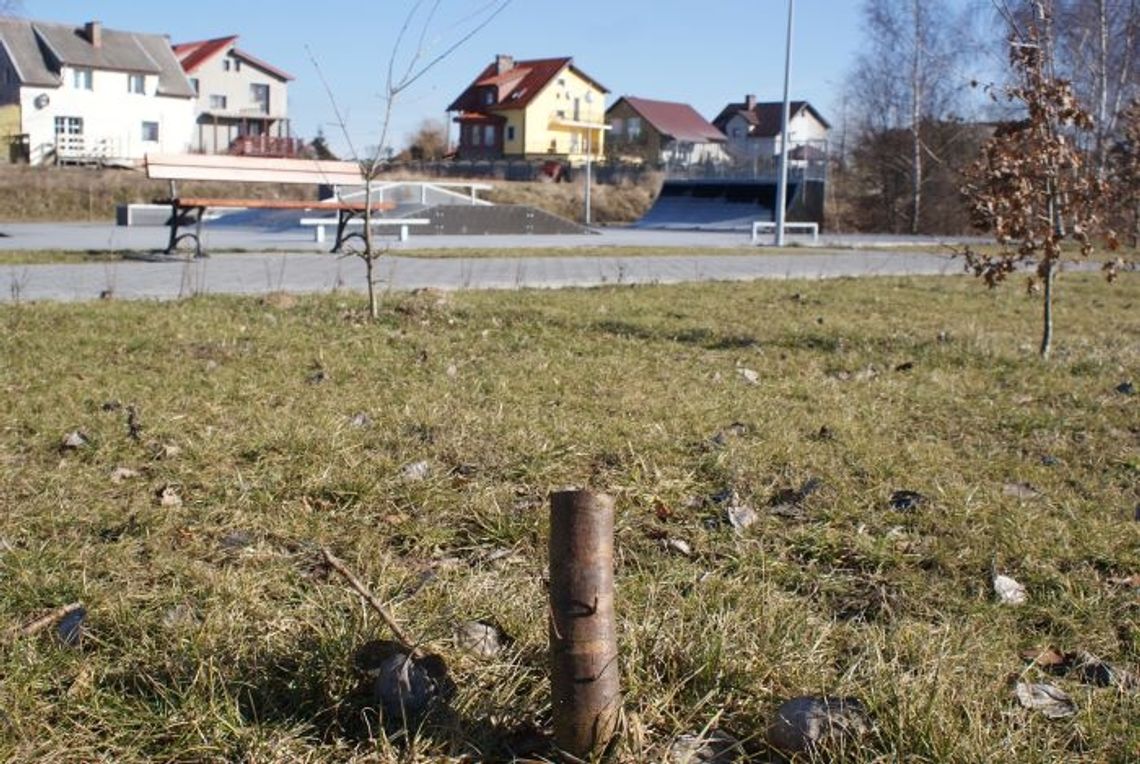 Wandale niszczą skatepark w Rożentalu Wandale niszczą skatepark w Rożentalu