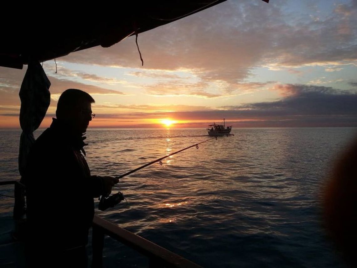 Wędkarstwo sumowe -jak wybrać odpowiednie wyposażenie?