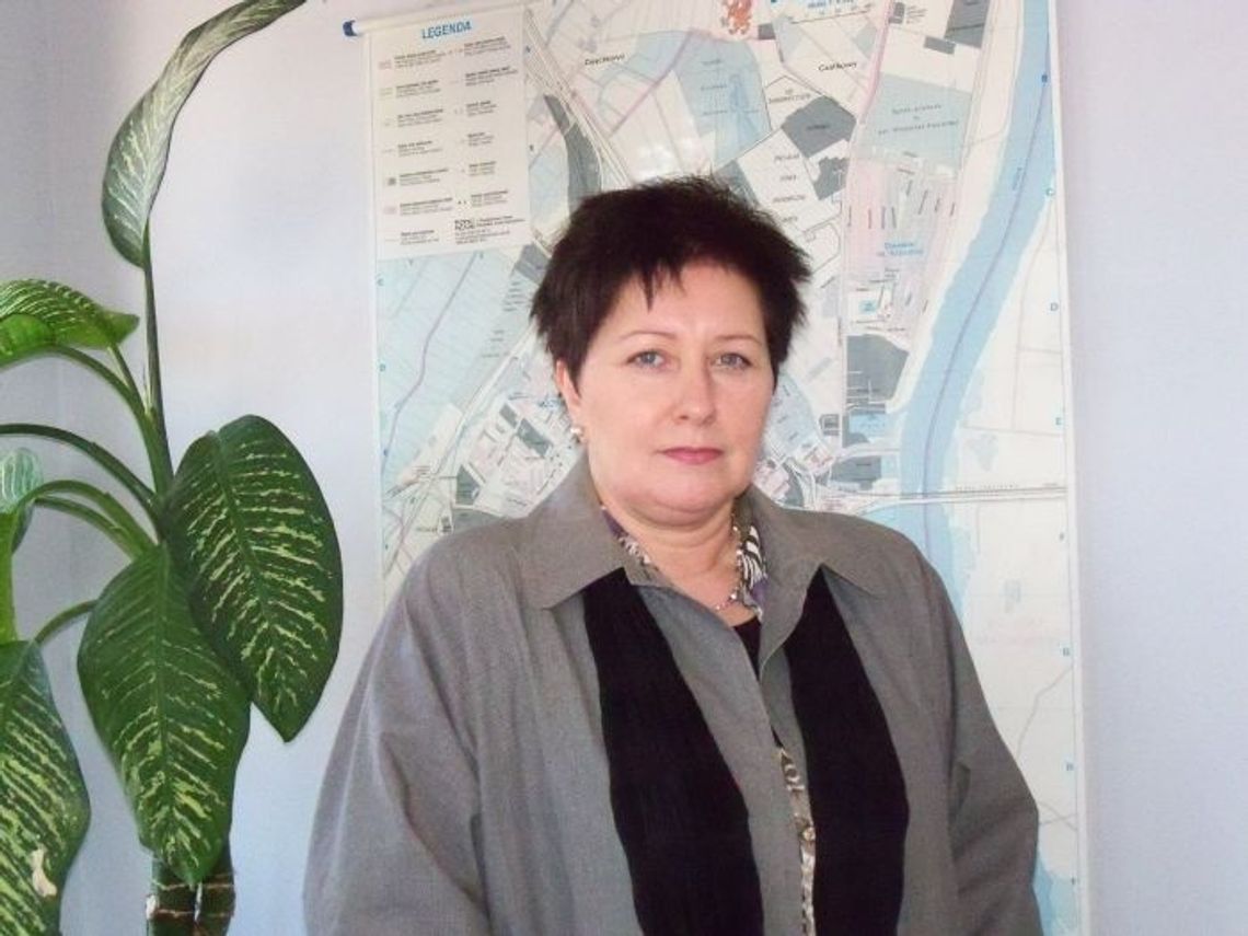 Wiadukty w stanie opłakanym Wiadukty w stanie opłakanym