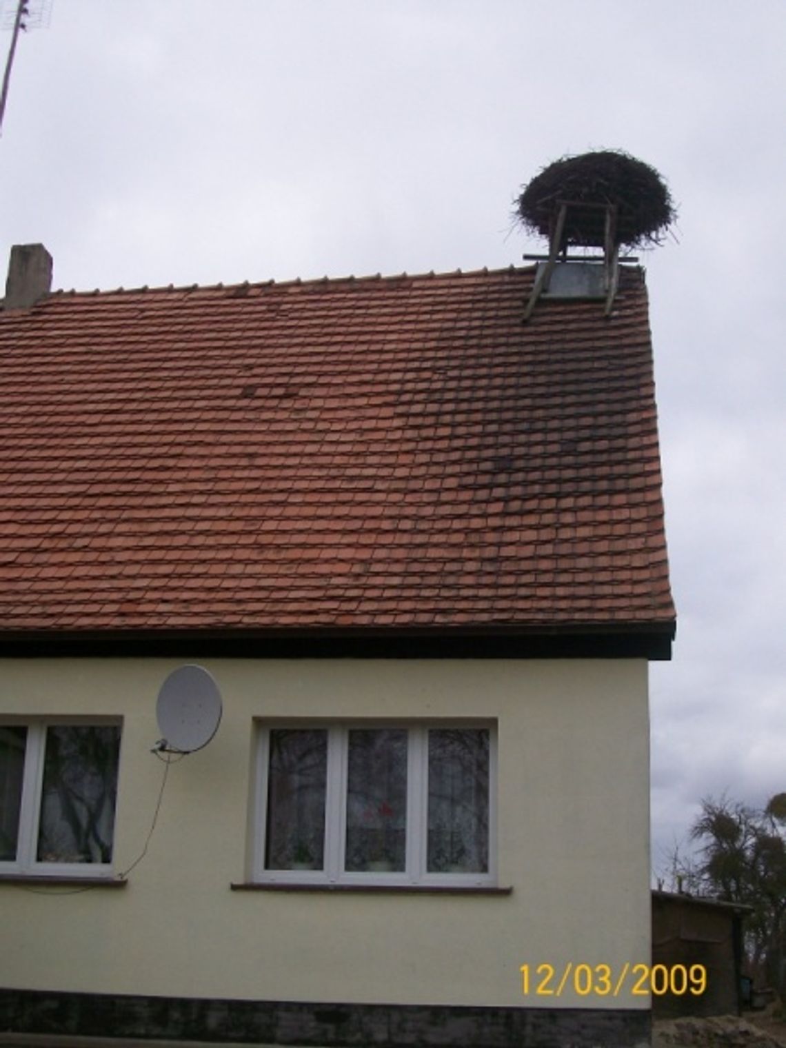 WIOSNA LECI! Bociany już w drodze, gniazda w remoncie