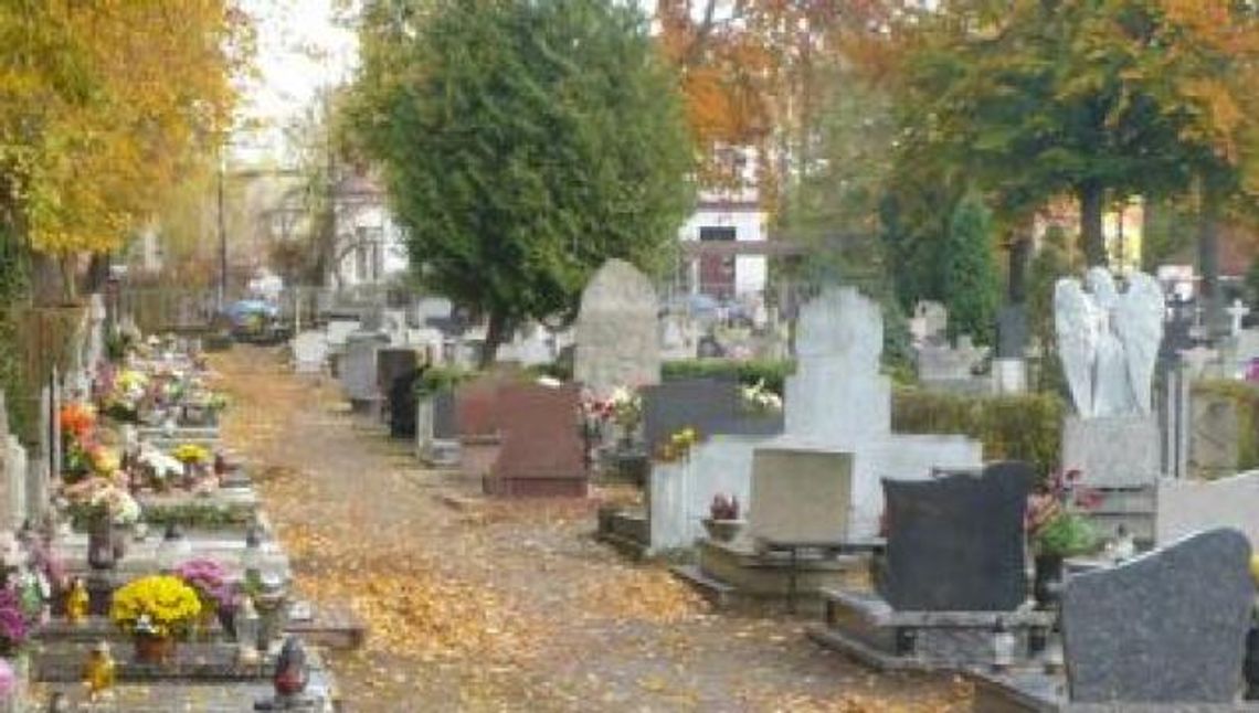 Wszystko o 1 listopada w Tczewie – komunikacja, parkingi...