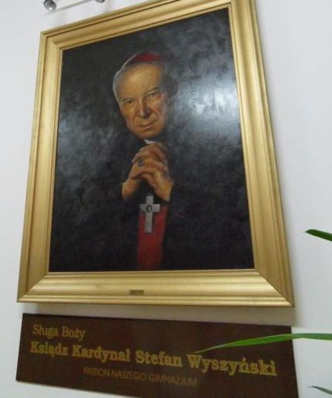 Wybitni pisarze, sportowcy, patrioci, ksiądz, astronom, pułkownik, major, kardynał i... święty