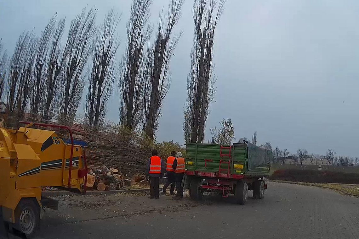 Wycięli ponad 50 drzew. Na bulwarze powstanie nowa kamienica