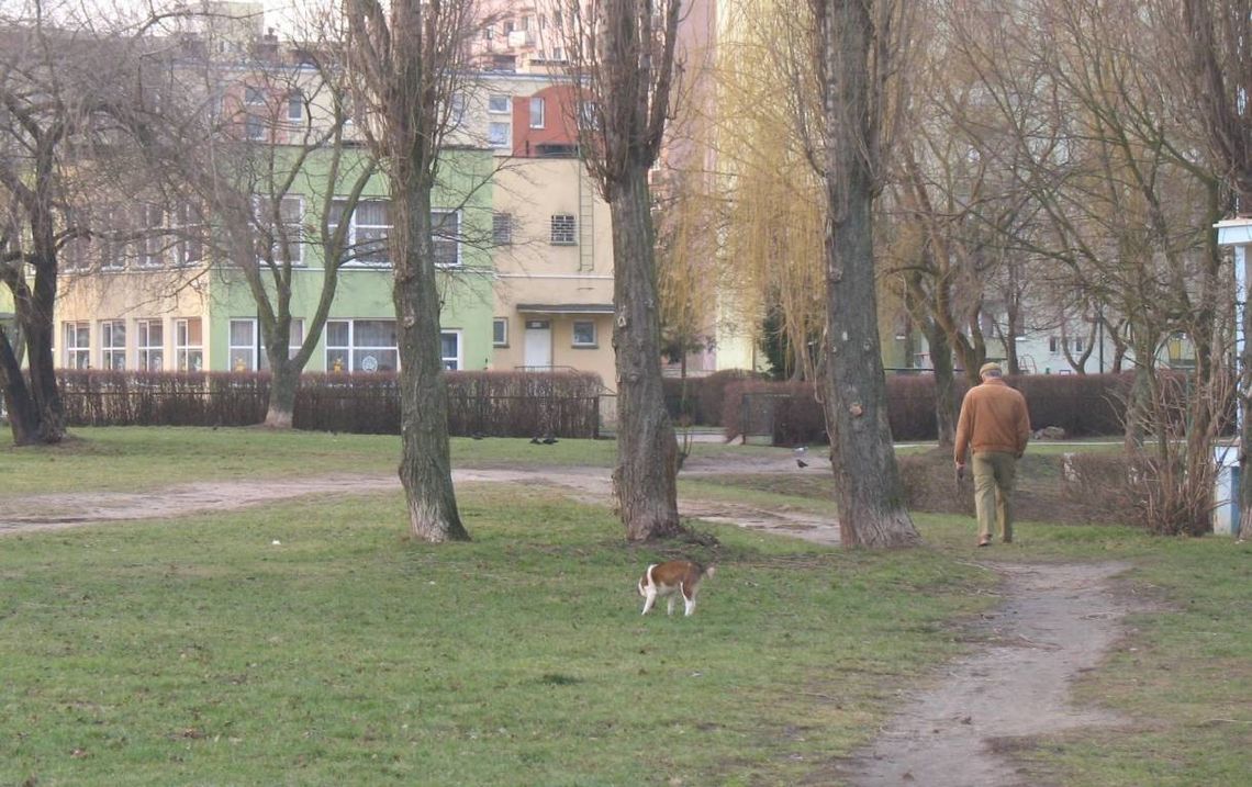 Wydeptane trawniki - zakała tczewskich osiedli? Wydeptane trawniki - zakała tczewskich osiedli?