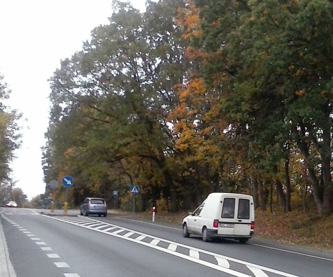 Wytną 178 drzew? Wytną 178 drzew?