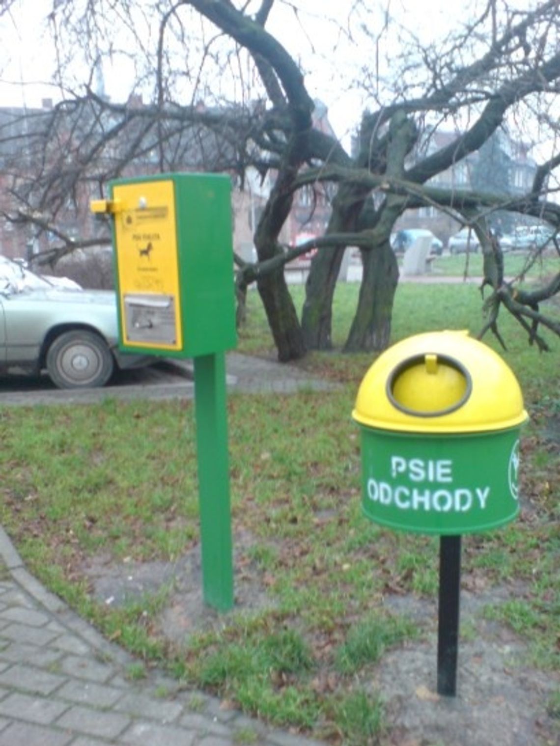 Z psimi kupami na biurko prezydenta Z psimi kupami na biurko prezydenta