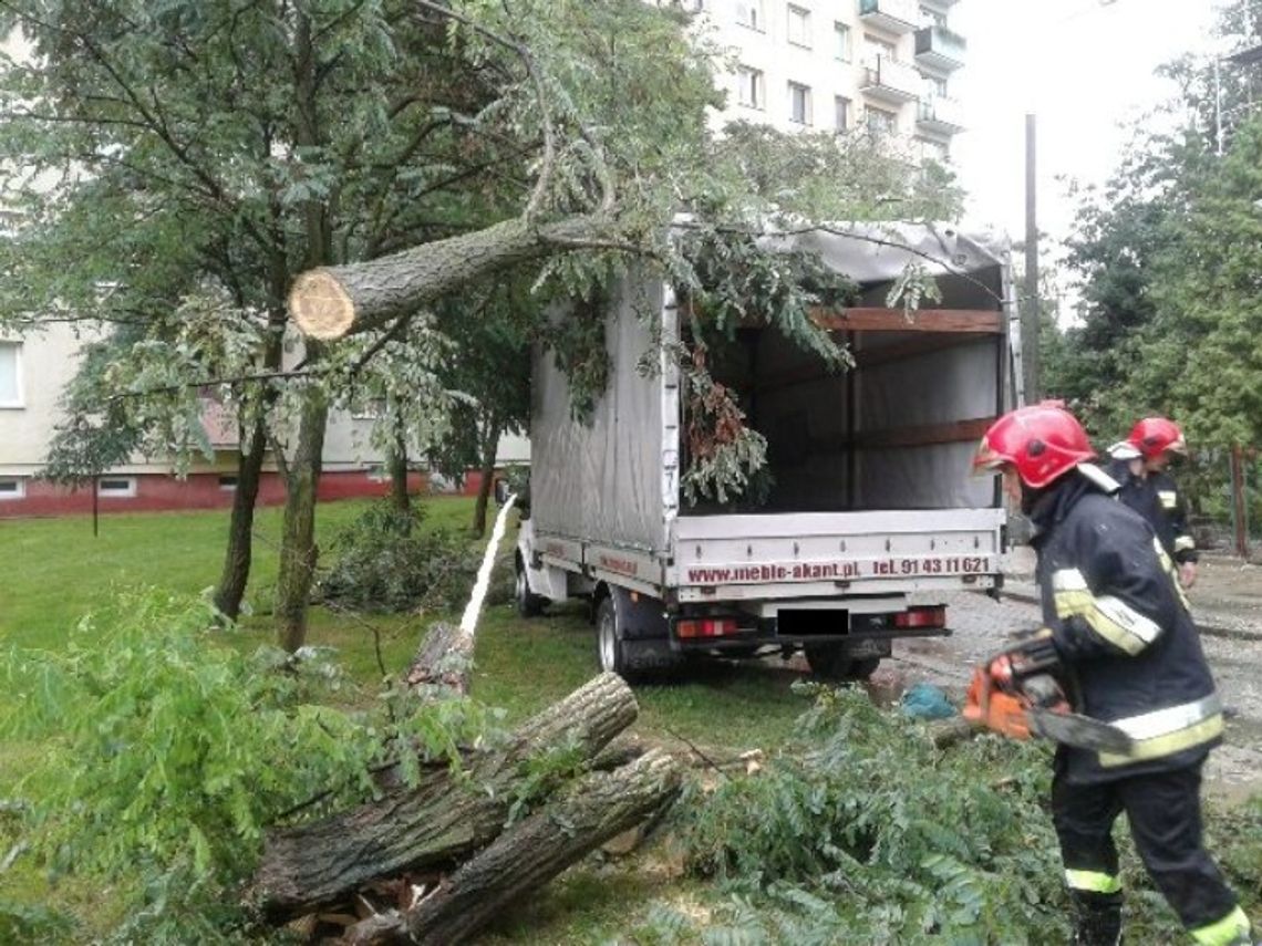 Za nami kolejna burza i silne podmuchy wiatru. Złamane drzewo zniszczyło auto przy ul. Jagiełły Za nami kolejna burza i silne podmuchy wiatru. Złamane drzewo zniszczyło auto przy ul. Jagiełły