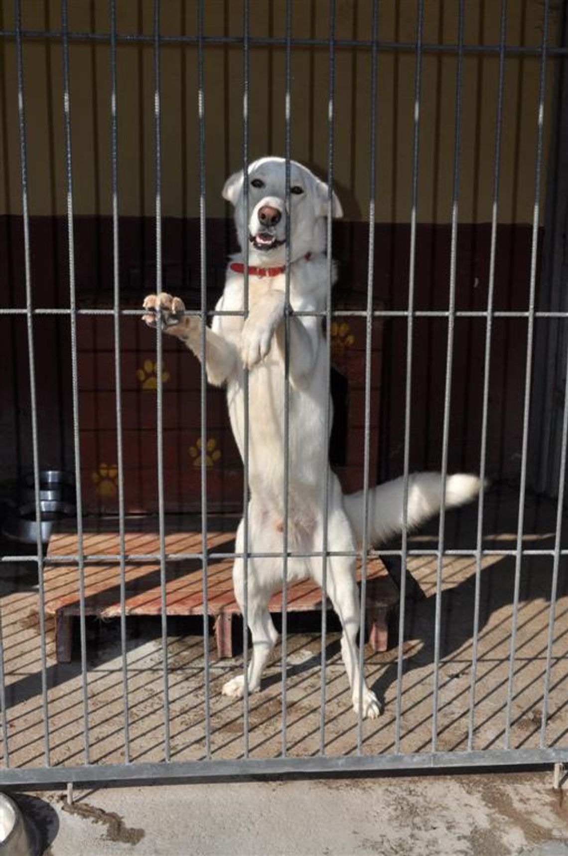 Zabrakło głosów czy dobrej woli? Zabrakło głosów czy dobrej woli?