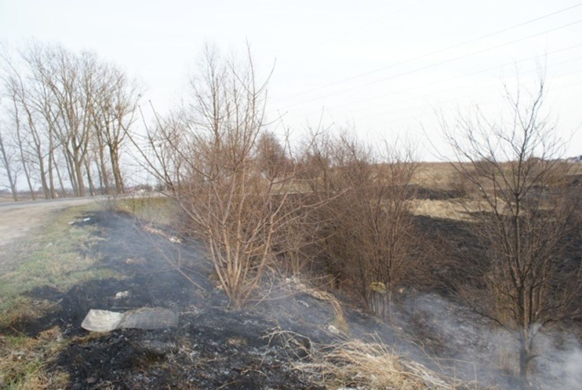 Zagrożenie nie tylko dla przyrody. Surowe kary za wypalanie traw Zagrożenie nie tylko dla przyrody. Surowe kary za wypalanie traw