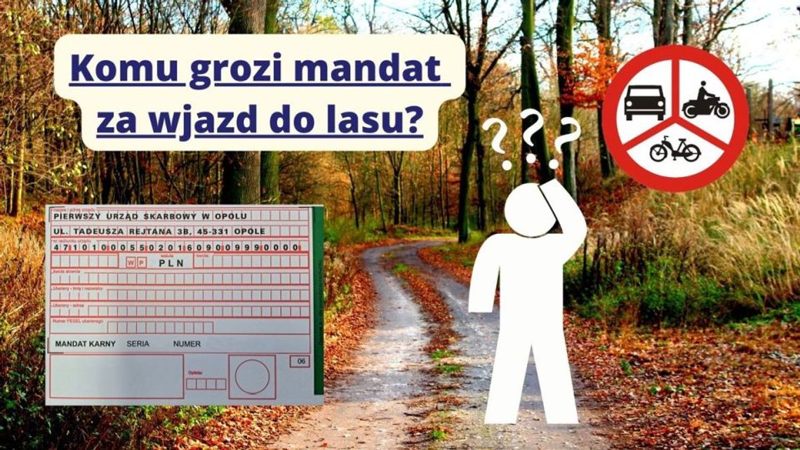 Zakaz wjazdu do lasu – przypomnienie o przepisach i apel o ochronę natury