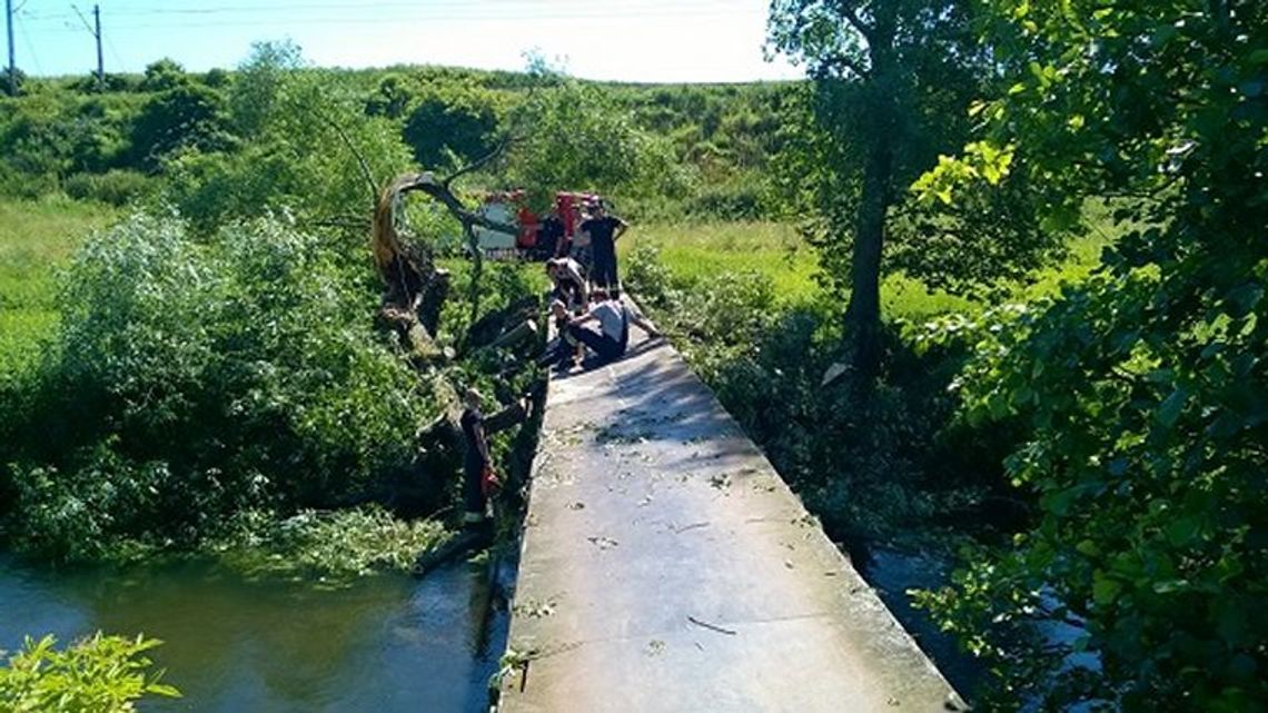 Zamknęli kładkę nad Wierzycą Zamknęli kładkę nad Wierzycą