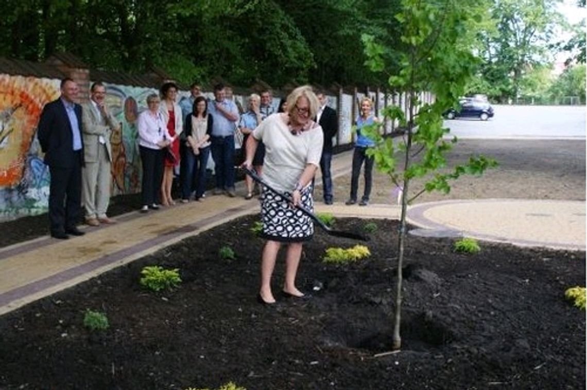 Zasadzono drzewko radiowej „Trójki”