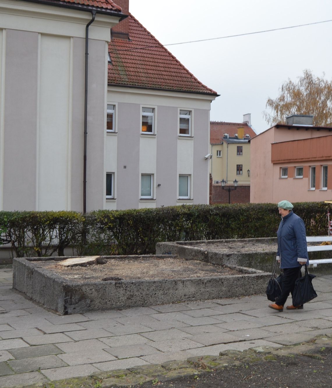 Zdrowy świerk poszedł „pod topór”. Mieszkańcy oburzeni 