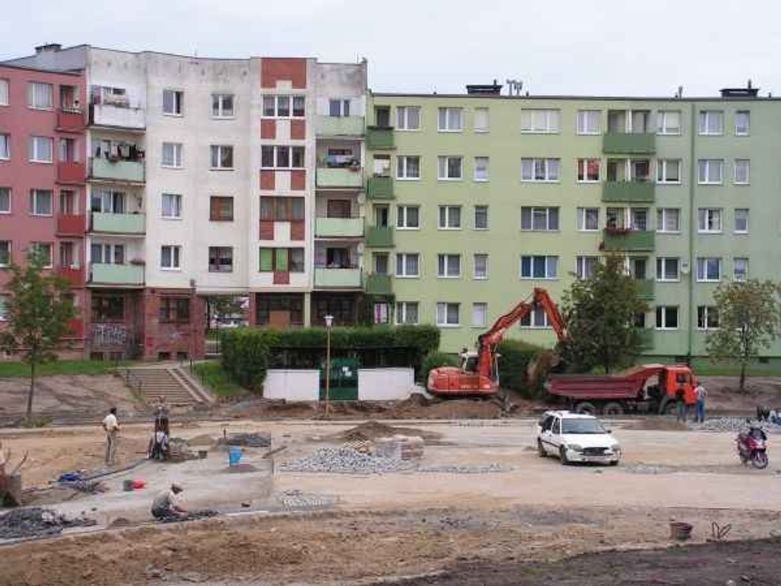 Zieleń, beton. a nawet psy... Kontrowersje wokół niecki Zieleń, beton. a nawet psy... Kontrowersje wokół niecki