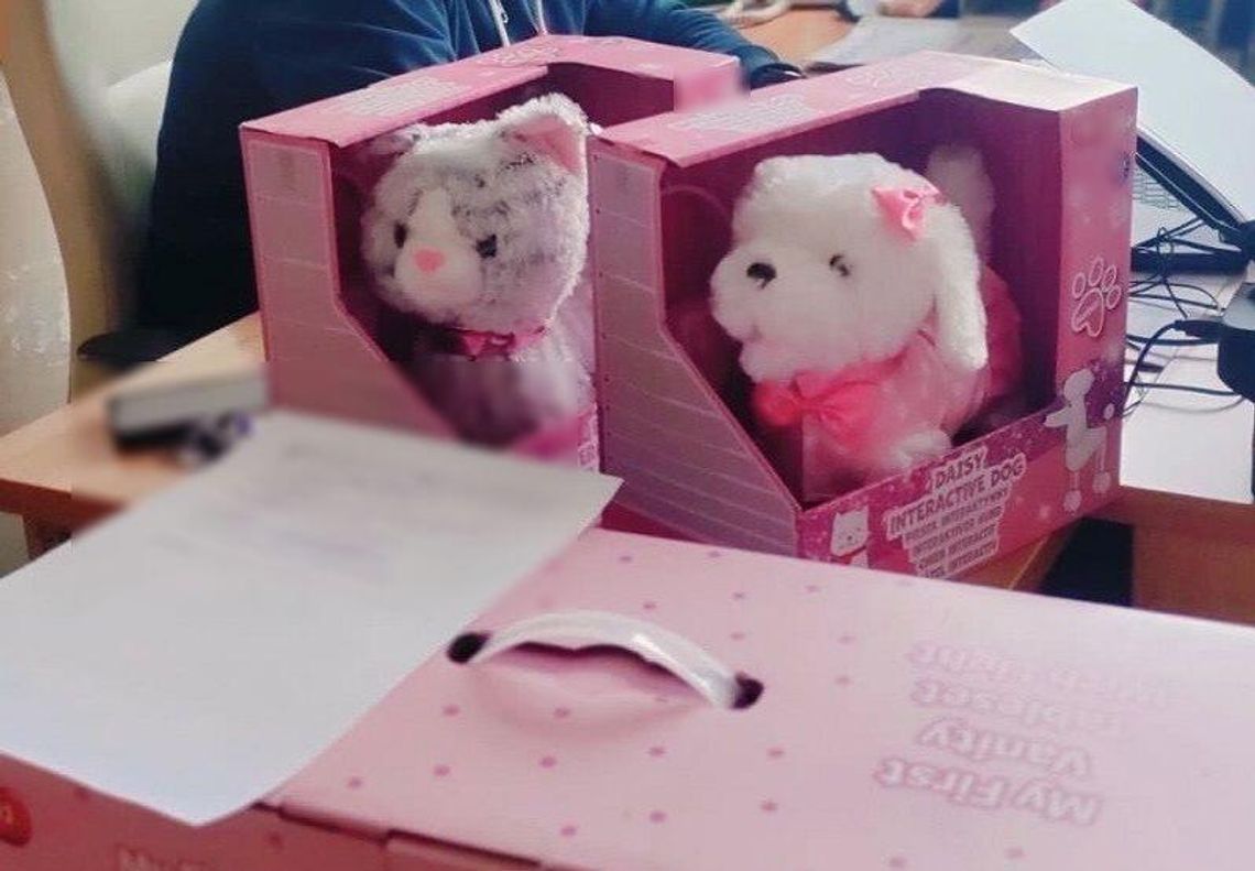 Złodziej kradł m.in. dziecięce toaletki, walizki i plecaki. Straty sięgnęły kilku tysięcy zł