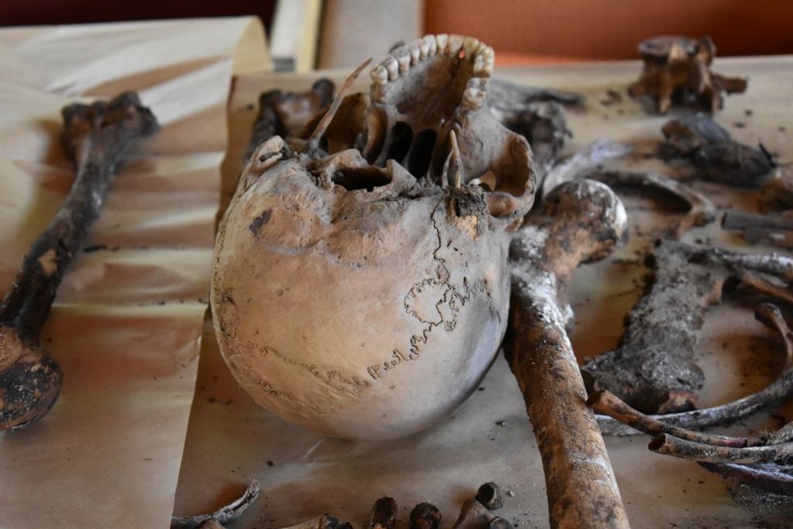 Znaleźli sporą liczbę ludzkich kości. Rusza kolejny sezon badań 