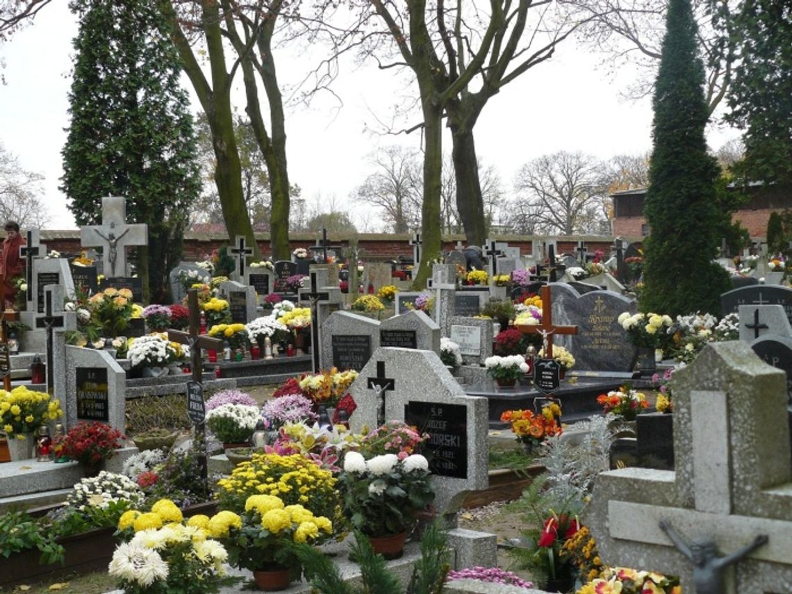 Znicze i kwiaty na grobach bliskich są znakiem miłości do zmarłych