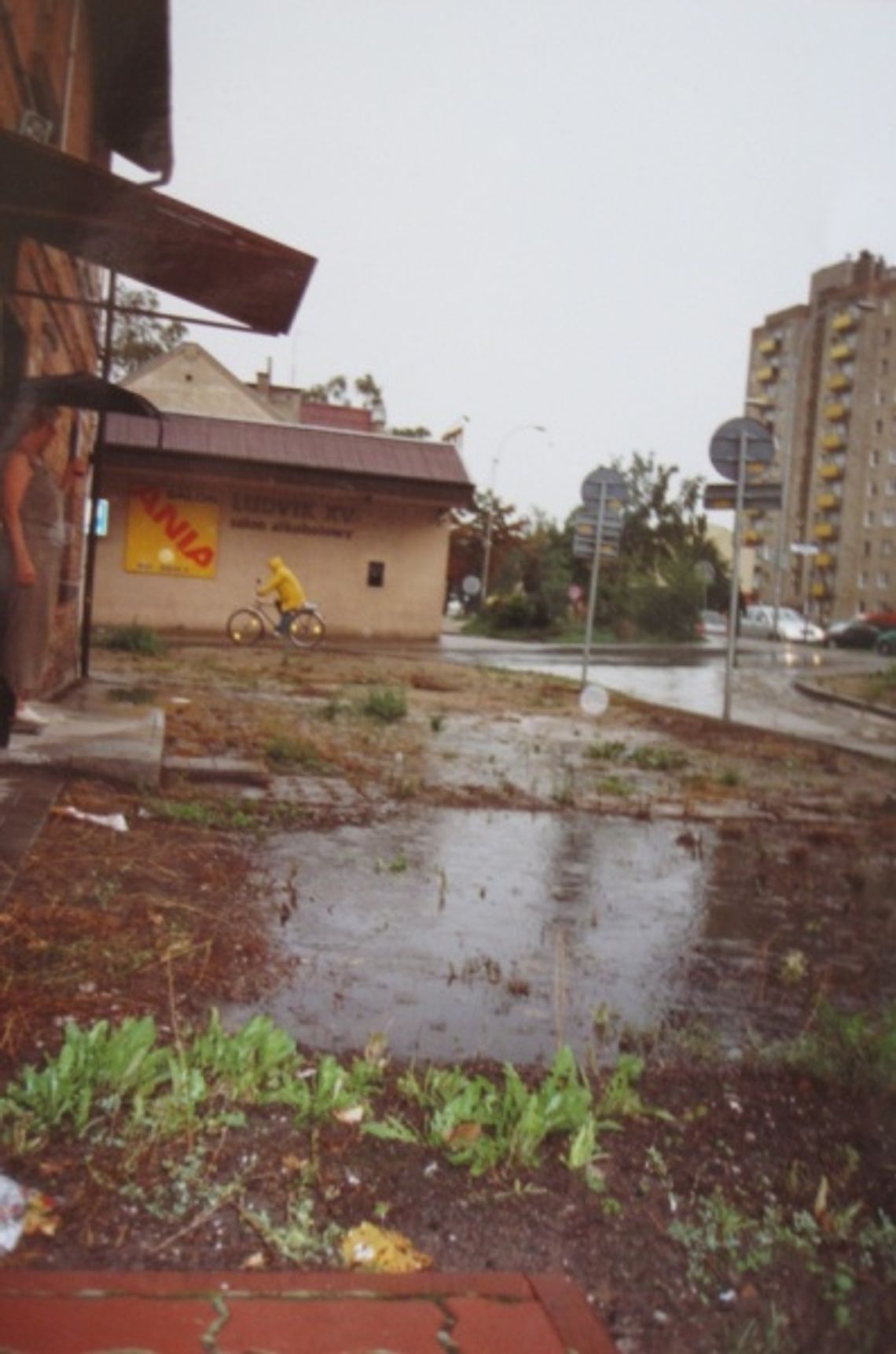 Znowu deszcz, znowu zalany dom. Cierpliwość mieszkańców już się wyczerpała Znowu deszcz, znowu zalany dom. Cierpliwość mieszkańców już się wyczerpała