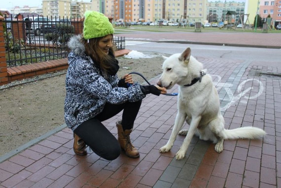 Zostań wolontariuszem tczewskiego schroniska dla zwierząt Zostań wolontariuszem tczewskiego schroniska dla zwierząt