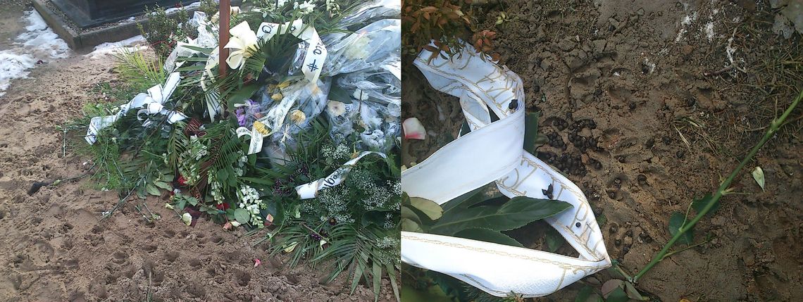 Zwierzęta paskudzą groby - problem na Cmentarzu Komunalnym Zwierzęta paskudzą groby - problem na Cmentarzu Komunalnym